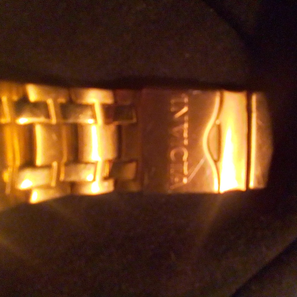 Invicta pro diver watch